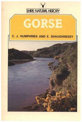 Book cover for Gorse