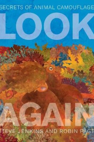 Cover of Look Again