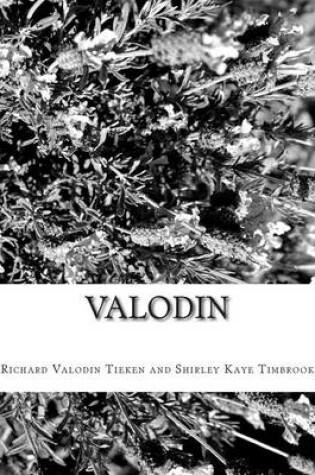 Cover of Valodin