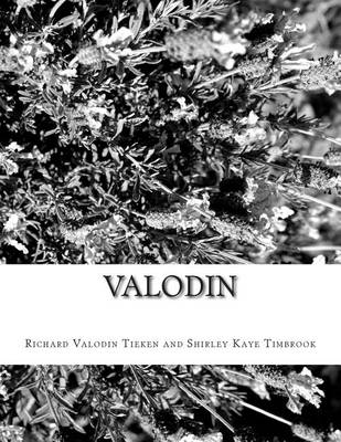 Book cover for Valodin