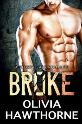 Cover of Broke, a Secret Baby Romance