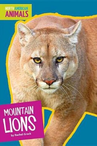 Cover of Mountain Lions