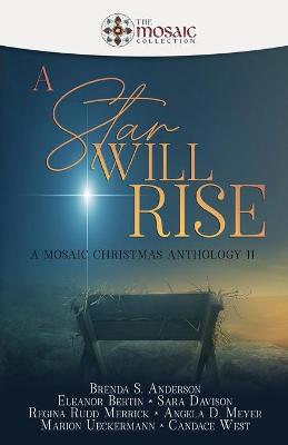 Book cover for A Star Will Rise