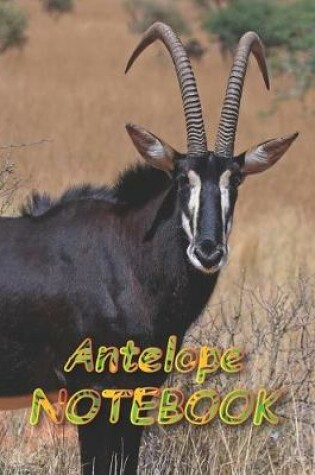 Cover of Antelope NOTEBOOK