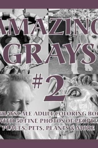 Cover of Amazing Grays #2
