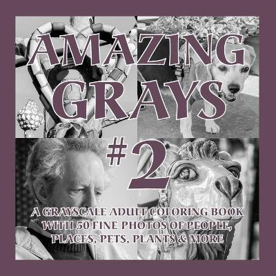 Amazing Grays #2 by Islander Coloring