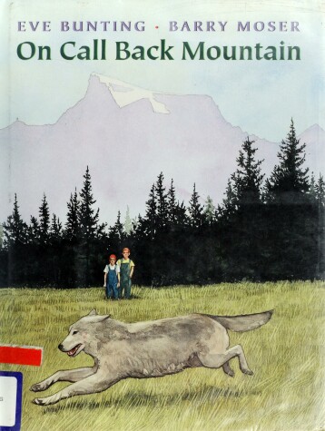 Book cover for On Call Back Mountain