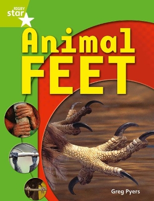 Cover of Rigby Star Guided Quest Year 1 Green Level: Animal Feet Reader Single