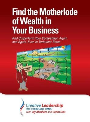 Book cover for Find the Motherlode of Wealth in Your Business