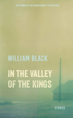 Book cover for In the Valley of the Kings