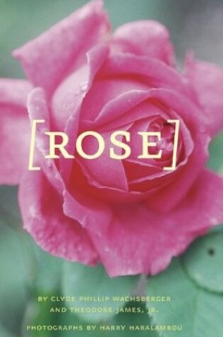 Cover of Rose