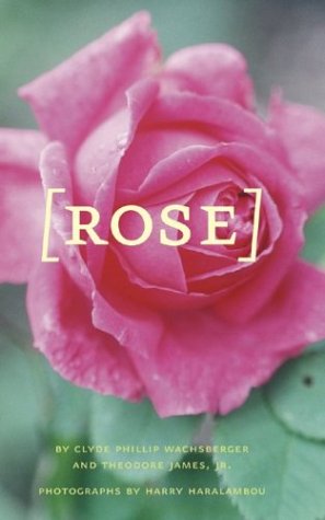 Book cover for Rose