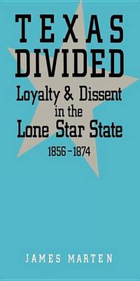 Book cover for Texas Divided