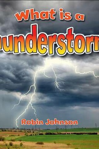 Cover of What Is a Thunderstorm?