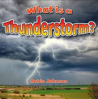 Book cover for What Is a Thunderstorm?