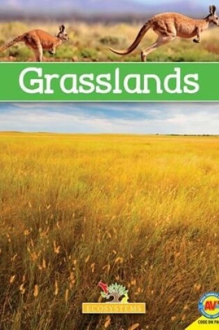 Cover of Grasslands with Code