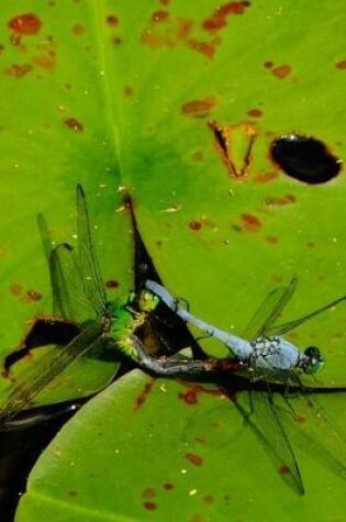 Cover of Blue & Green Dragonflies Lined Journal for daily thoughts notebook Lovely Lake Arrowhead Photograph