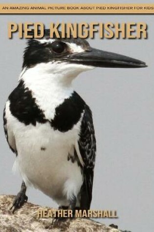 Cover of Pied Kingfisher