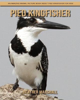 Book cover for Pied Kingfisher