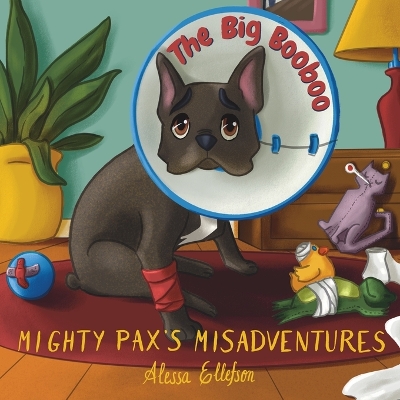 Book cover for The Big Booboo