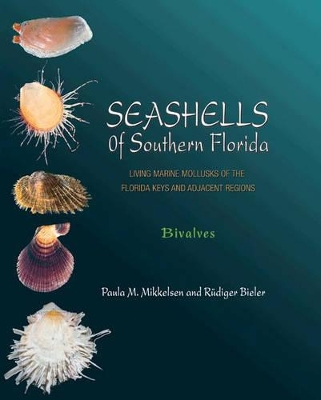 Book cover for Seashells of Southern Florida