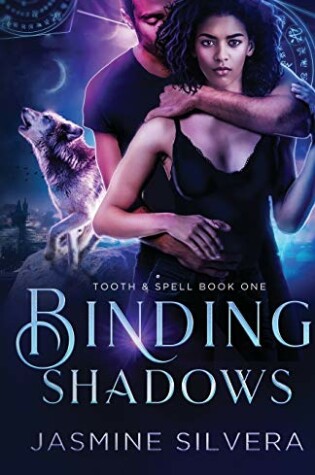 Cover of Binding Shadows