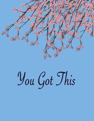 Book cover for You Got This