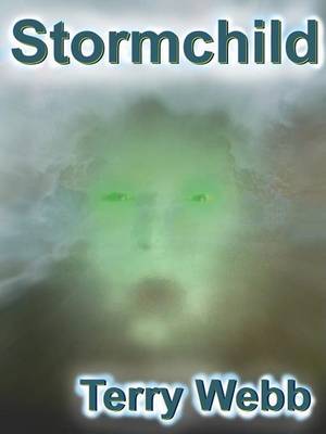 Book cover for Stormchild