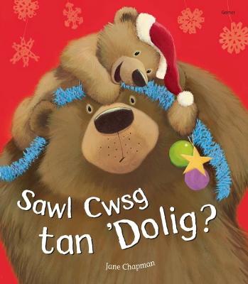 Book cover for Sawl Cwsg tan 'Dolig?