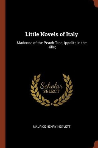 Cover of Little Novels of Italy