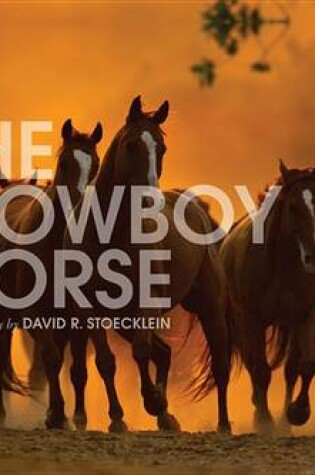 Cover of Cowboy Horse