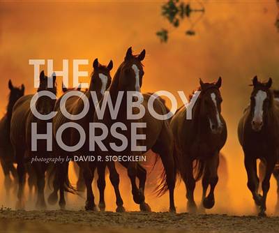 Book cover for Cowboy Horse