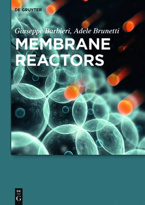 Book cover for Membrane Reactors