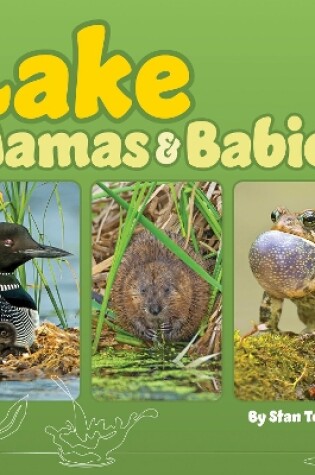 Cover of Lake Mamas and Babies