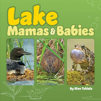 Book cover for Lake Mamas and Babies