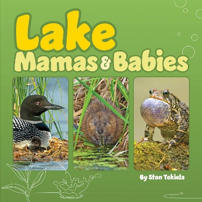 Cover of Lake Mamas and Babies