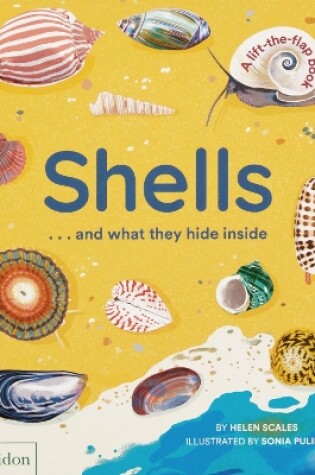 Cover of Shells... and what they hide inside