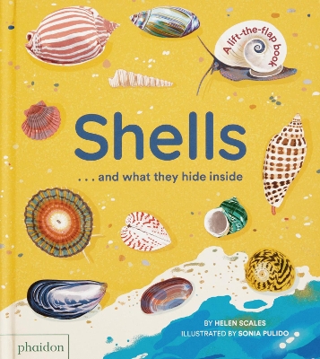 Book cover for Shells... and what they hide inside