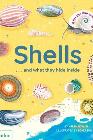 Cover of Shells... and what they hide inside