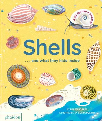 Book cover for Shells... and what they hide inside