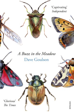 Cover of A Buzz in the Meadow