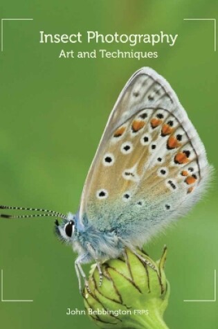 Cover of Insect Photography