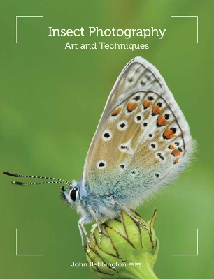 Book cover for Insect Photography