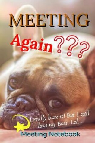 Cover of Meeting Again?