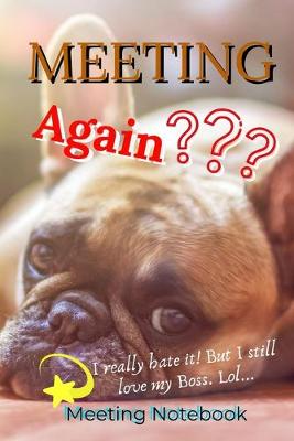 Book cover for Meeting Again?