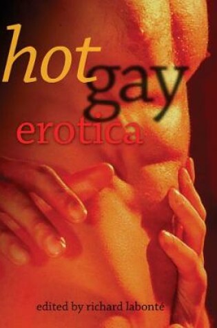 Cover of Hot Gay Erotica