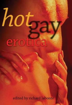 Book cover for Hot Gay Erotica