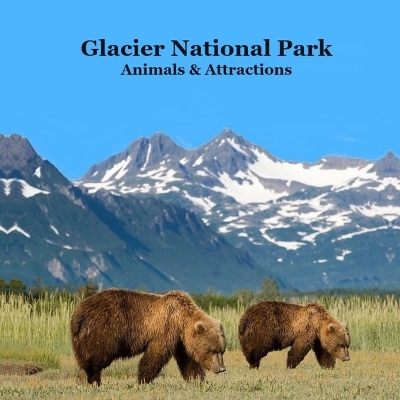 Book cover for Glacier National Park Animals and Attractions Kids Book