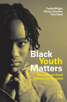 Book cover for Black Youth Matters