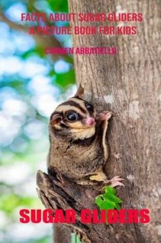 Cover of Facts About Sugar gliders A Picture Book For Kids